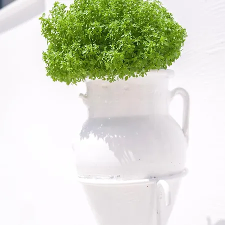 Porto Di فندق مبيت وإفطار باروس