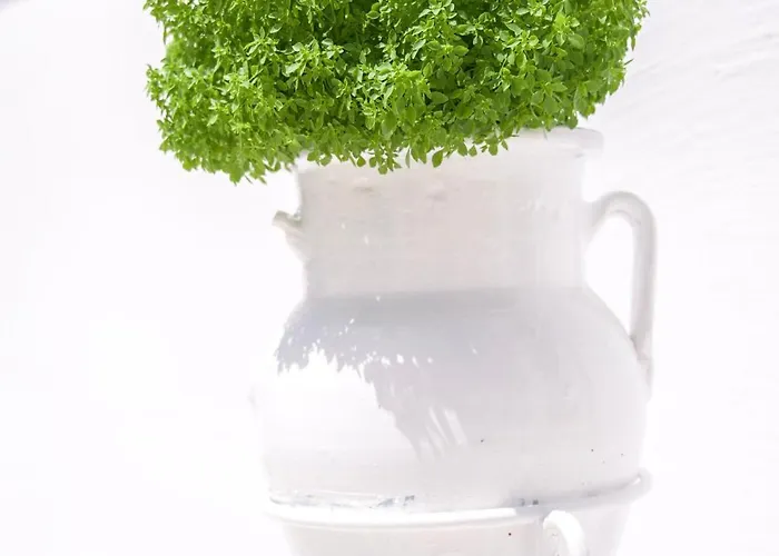 Porto Di Bed and Breakfast Πάρος